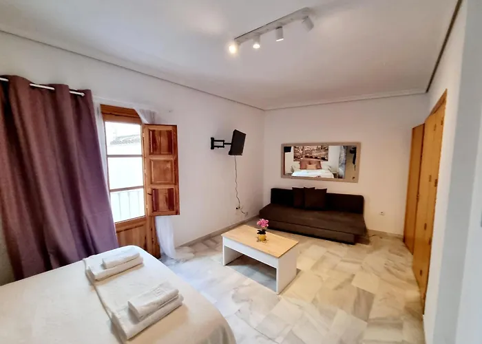 Magnifico Loft Sevillano En El Centro